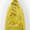 Luang Pu Thuat Amulet (Iron  Back) - Yellow metal and A-Type/Big votive tablet No.2