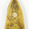 Luang Pu Thuat Amulet (Iron  Back) - Yellow metal and A-Type/Big votive tablet No.1